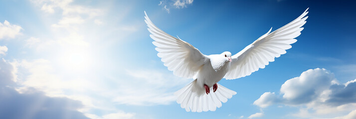 white dove against the blue sky. symbol of peace and freedom	