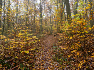 Herbst