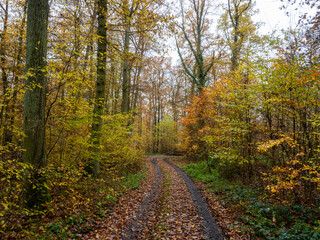 Herbst