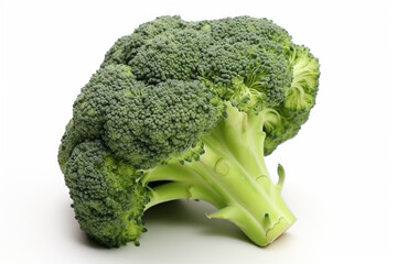 Broccoli plant on a white background