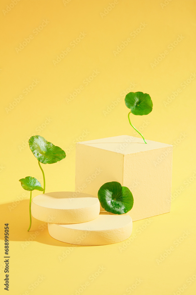 Wall mural Minimal scene for products showcase. Front view of beige geometries podiums with fresh gotu kola leaves decorated on yellow background. Blank space to place your product