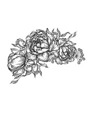 Graphic bouquet with peony and leaves. Illustration