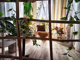 A modern cozy beautiful room with a braided rope macrame chair, green plants and a window with...