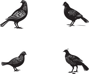 Set of quail Silhouette Vector Graphics on white background