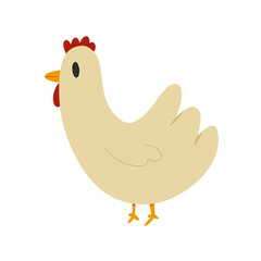 chicken illustration