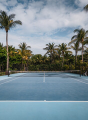palm trees and tennis court