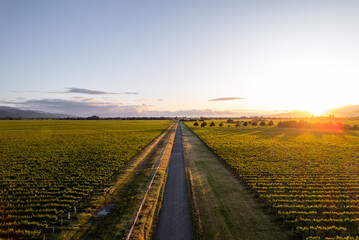 aeriel view of field in new zealand at sunrise