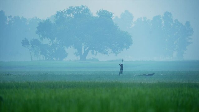 Fishermen boating through bog and fishing in a foggy winter morning. Rural Bangladesh with ambient sound. Nature, travel, and rural life. Biking, cycling, hiking, travel, vacation