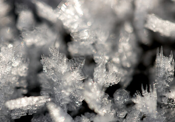 transparent ice crystals as background.