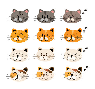 cat character in various action poses vector illustration	
