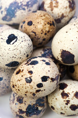 Fototapeta premium うずらの卵