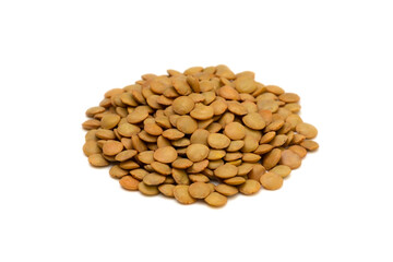 レンズ豆-Lens culinaris