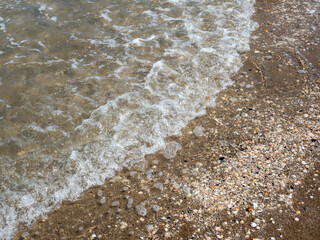 wave on the beach with mussels