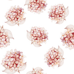 Seamless pattern with hydrangea in watercolor style