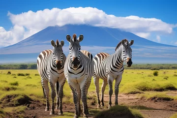 Gordijnen Wild zebras in savannah at sunny day. Generative AI © Nomad_Soul