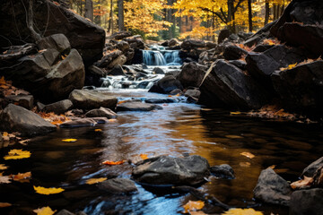 Fototapeta na wymiar Flow of a mountain stream in the autumn forest