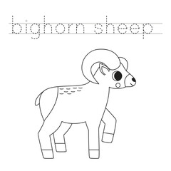 Trace the letters and color cartoon bighorn sheep. Handwriting practice for kids.