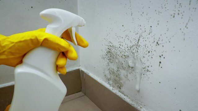 a female hand in a yellow rubber glove with a white bottle of cleaning product cleans the kitchen wall from black mold on the walls. High quality 4k footage