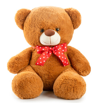 teddy bear isolated on white background.
