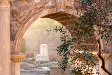 Obraz premium Ruines dans le Forum Romain