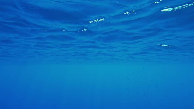 Blue water surface with sun rays on a sunny day, Natural underwater background