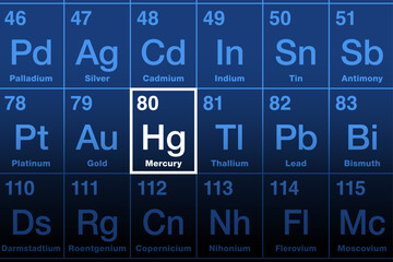 Mercury on periodic table of the elements. Known as quicksilver, a toxic heavy metal and chemical element, with symbol Hg for hydrargyrum and atomic number 80. Used in thermometers and dental amalgam.