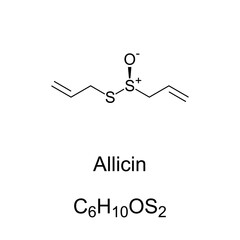 Allicin, chemical formula and structure. Organosulfur compound obtained from garlic. Chopping or crushing fresh garlic converts alliin into allicin which is responsible for the aroma of fresh garlic.
