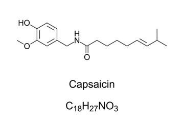 Capsaicin, chemical formula and structure. Active component in chili peppers, plants belonging to genus Capsicum. Chemical irritant and neurotoxin. As spice in food it provides spiciness and piquancy. - obrazy, fototapety, plakaty