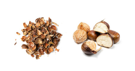 Edible Sweet Chestnuts, Healthy Autumn and Christmas Food