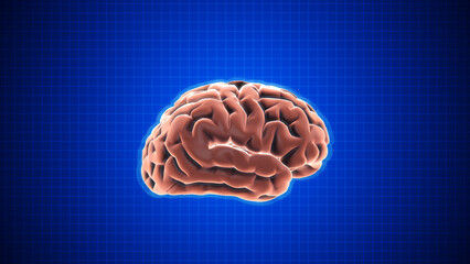 Animation of rotating brain with Grid on dark blue background