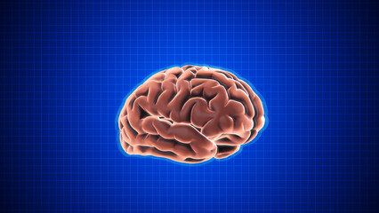 Animation of rotating brain with Grid on dark blue background