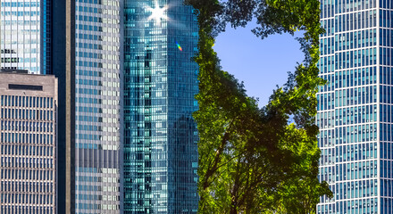 Cityscape with an Urban Forest between the Skyscrapers