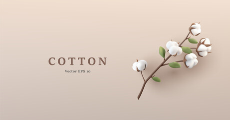 Cotton branch with white soft blooming plant flower 3d render illustration with blossom and leaves.