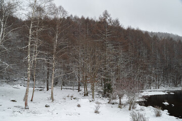 雪景色の御射鹿池　長野県
