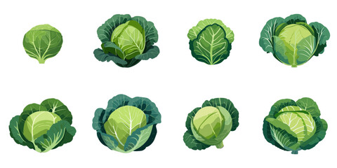 Vector illustration of multiple cabbages - obrazy, fototapety, plakaty