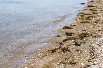 gentle waves on the beach