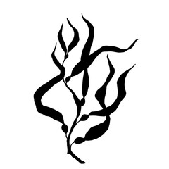 Seaweed silhouette.Sea grass doodle.Vector graphic.