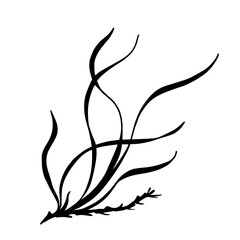 Seaweed silhouette.Sea grass doodle.Vector graphic.