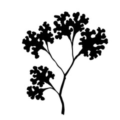 Seaweed silhouette.Sea grass doodle.Vector graphic.