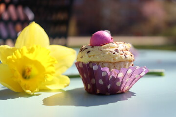 Cupcake