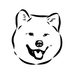 Obraz premium Japanese akita inu dog, vector outline illustration