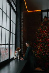 Girl with beagle dog at the window at christmas