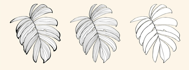 Exotic line leaf sketch by hand drawing. Leaf art highly detailed in line art style. Plant of tropical. Leaf for paint to pattern or wallpaper.