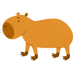 capybara  animal