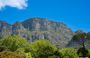 Obraz premium View of the famous Table Mountain, Cape Town, South Africa