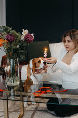 Girl with beagle dog celebrating dog's birthday
