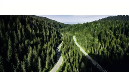 Aerial view of a road across the forest with trees in Grindelwald, Bernese Alps, Swiss Alps, Bern, Switzerland.