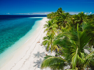 Maldives islands ocean tropical beach with coconut palms