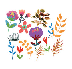 Flower collection with leaves, floral bouquets, Spring art print with botanical elements  isolated on white background