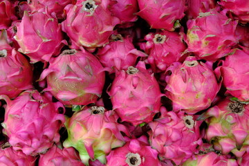 A pitaya or pitahaya is the fruit of several different cactus species indigenous. Hylocereus polyrhizus. Hylocereus costaricensis. pile of dragon fruit. buah naga. 
